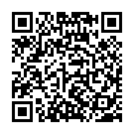 QR code for QZR038