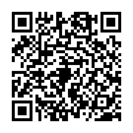 QR code for QZT3384