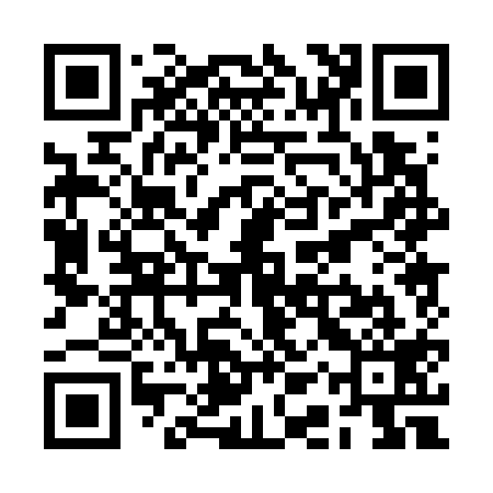 QR code for RAP719