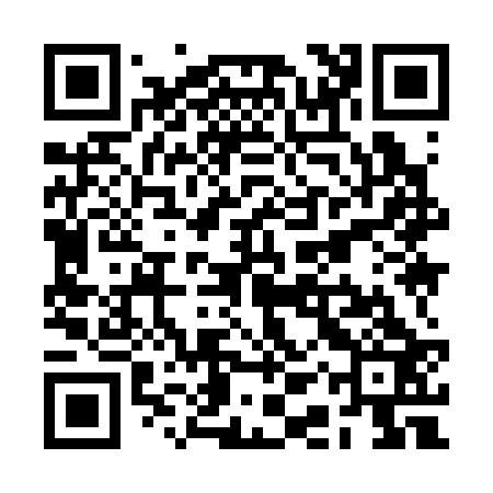 QR code for RAY323