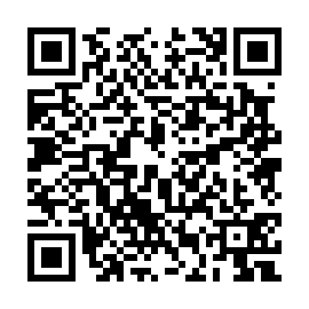 QR code for REP0317