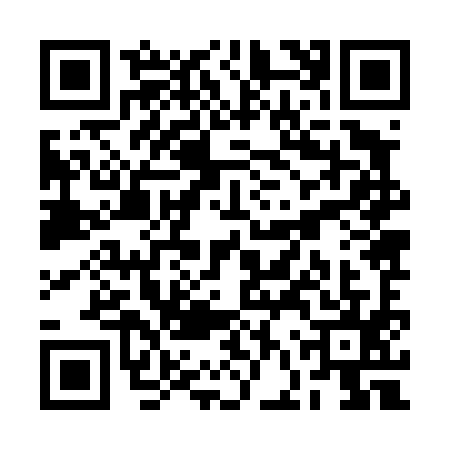 QR code for RFZ4953
