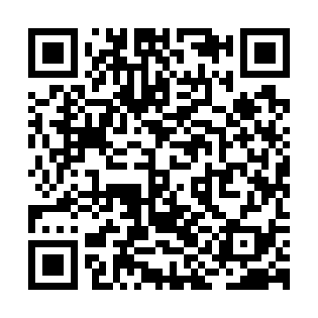 QR code for RII739
