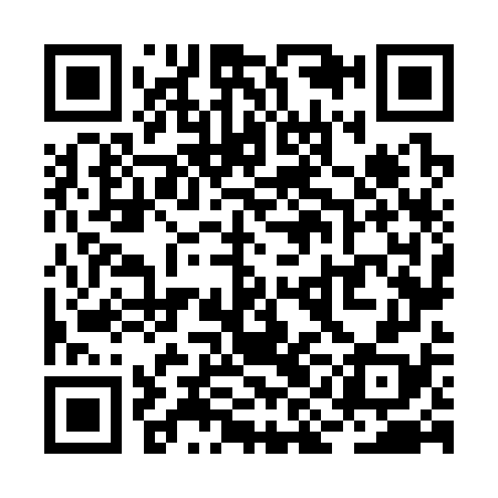 QR code for RIN378