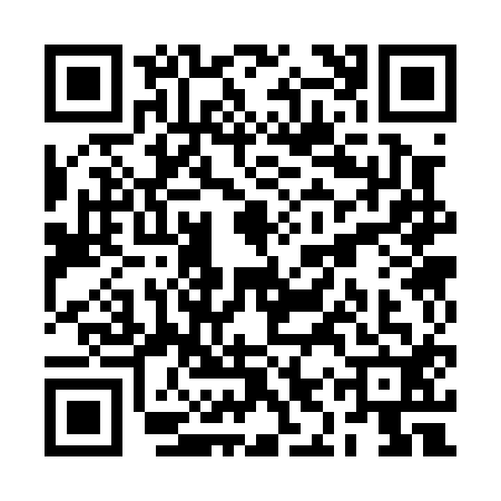 QR code for RIS0125