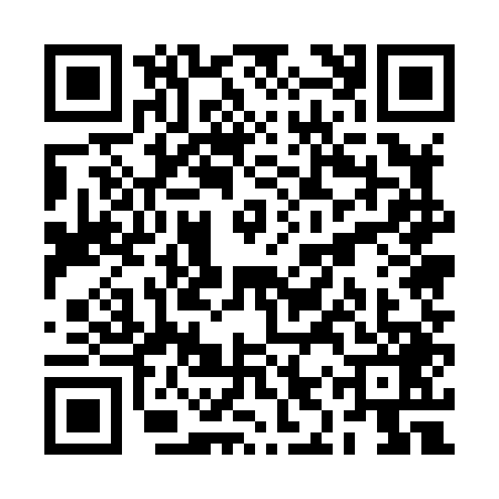 QR code for RIU8493