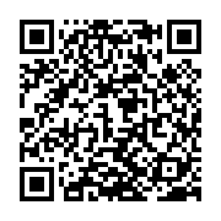 QR code for RJY029