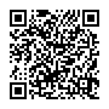 QR code for ROI334