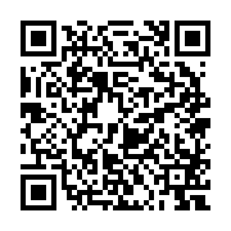 QR code for RPA2833