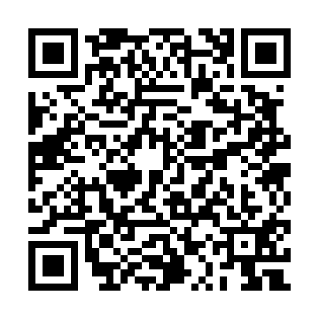 QR code for RQS4119