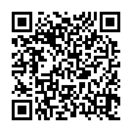 QR code for RUN334