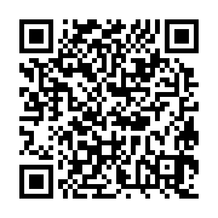 QR code for RVG383