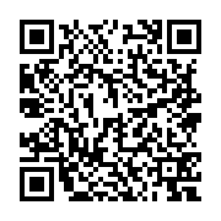 QR code for RYY9729