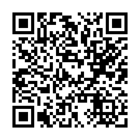 QR code for RYZ971