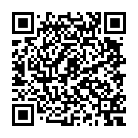 QR code for RZH411