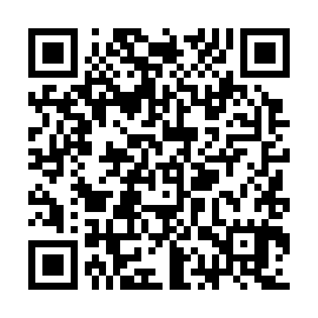 QR code for SAT385