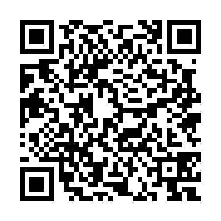 QR code for SBE0381