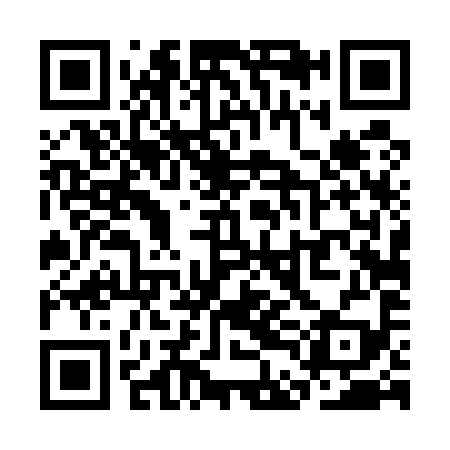 QR code for SDD599