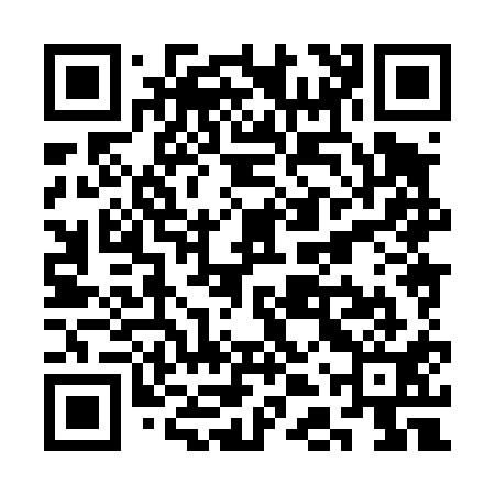 QR code for SDX411