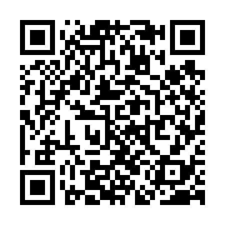 QR code for SEG638