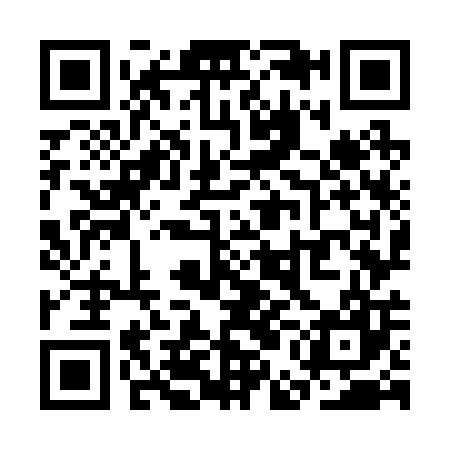 QR code for SEO207