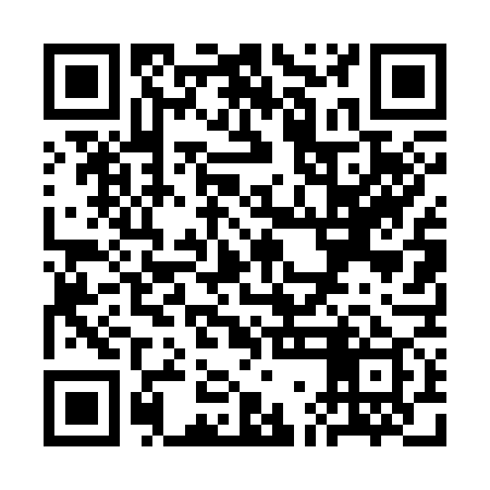 QR code for SGD379