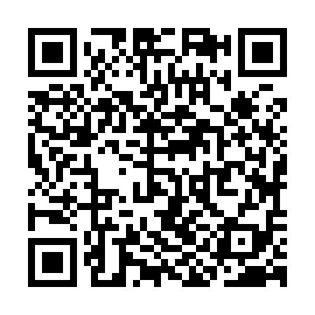 QR code for SIJ919