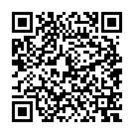 QR code for SIN6608