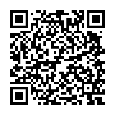 QR code for SIR495