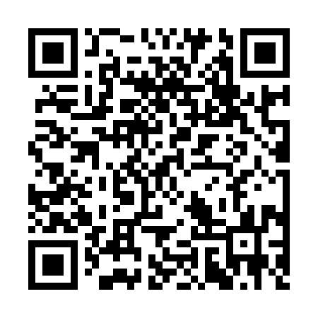 QR code for SIS993