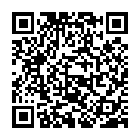 QR code for SIV538