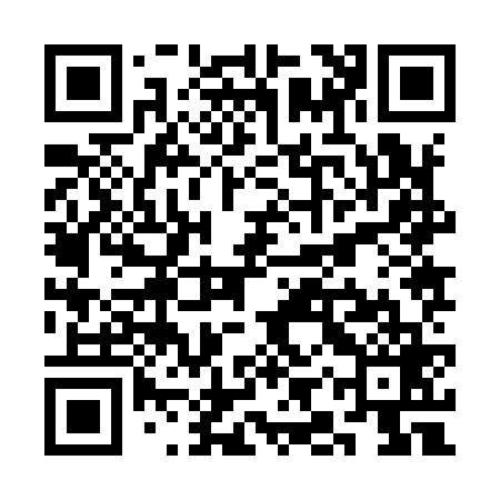 QR code for SIZ969