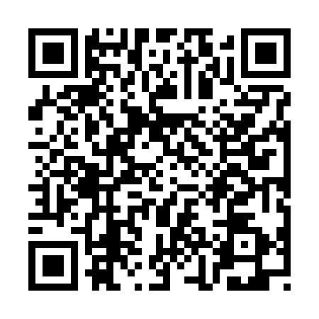 QR code for SJJ6728