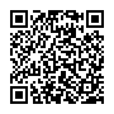 QR code for SLN203