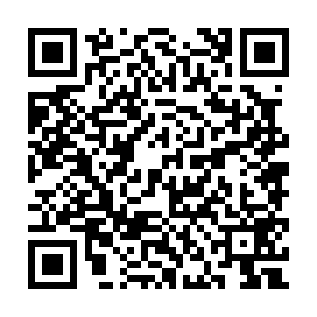 QR code for SNN0596