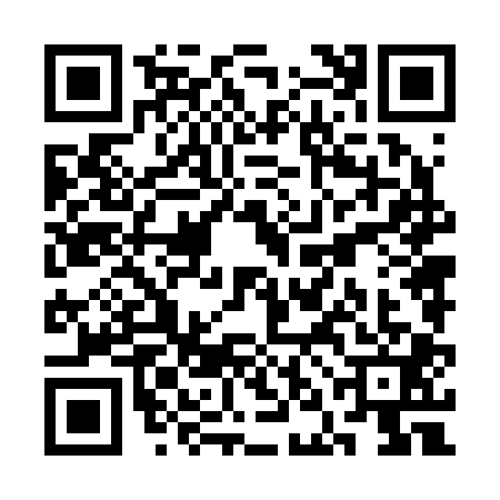 QR code for SNN2011