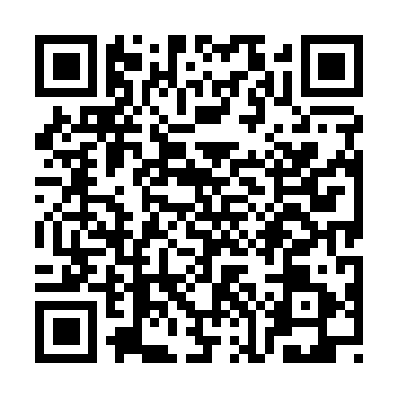 QR code for SOM1911