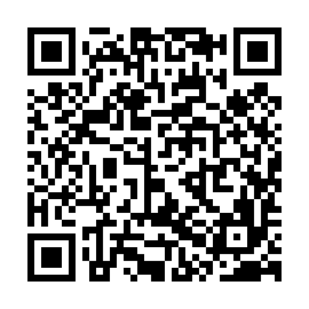 QR code for SPI496