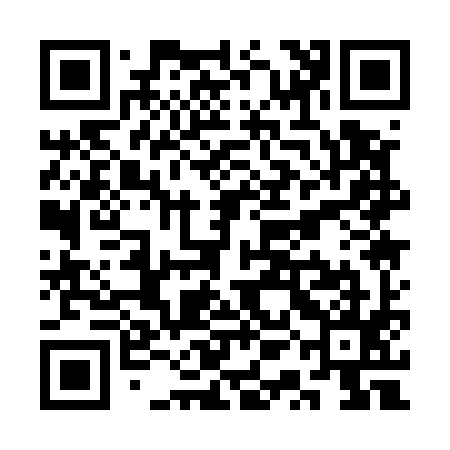 QR code for SQA595