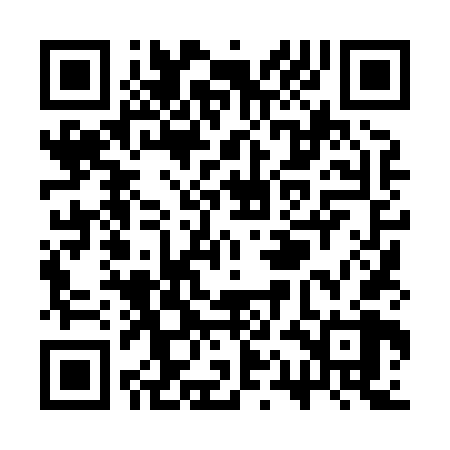 QR code for SQL868