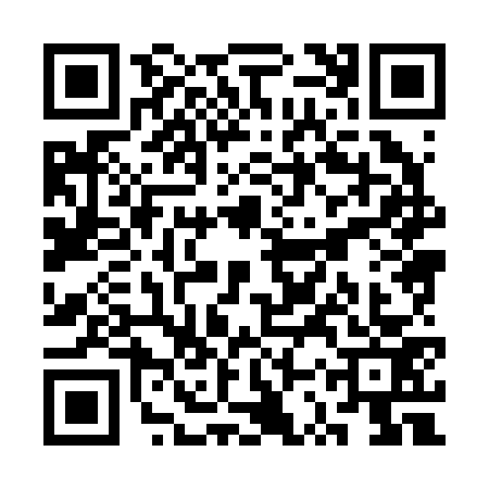 QR code for SSX2733