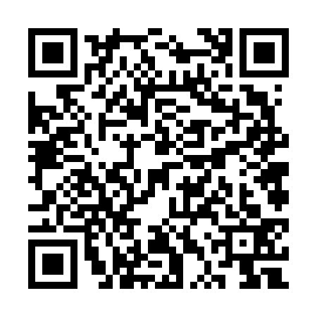 QR code for STV6333