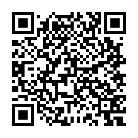 QR code for SVZ173