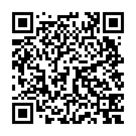 QR code for SWG638