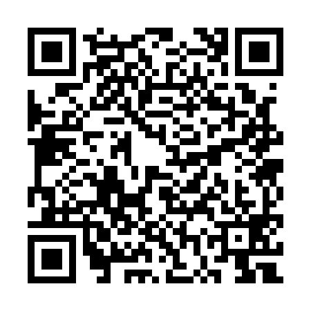 QR code for SWS1993