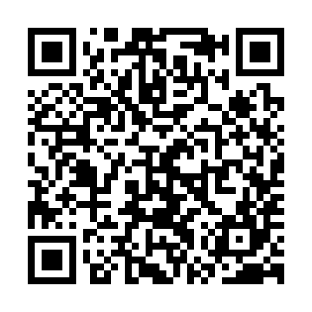QR code for SWS384