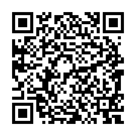 QR code for SYL2919