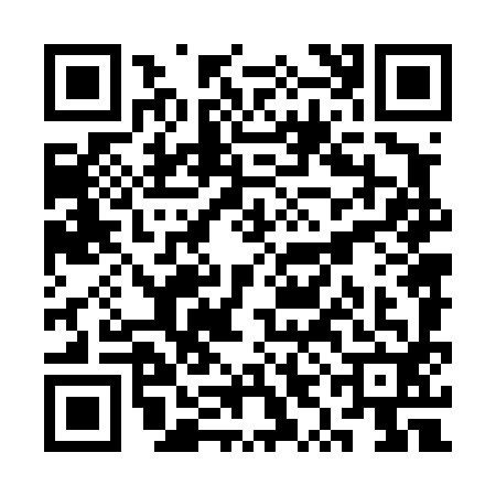 QR code for SYN4920