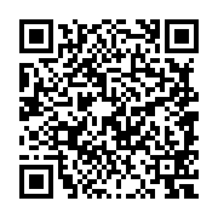 QR code for SZT8993