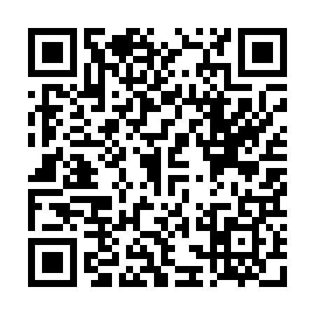 QR code for TCM0295